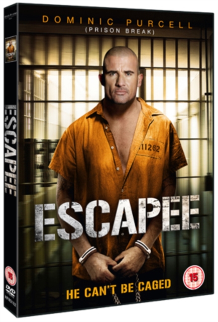 Asylum Escape 2011 DVD - Volume.ro