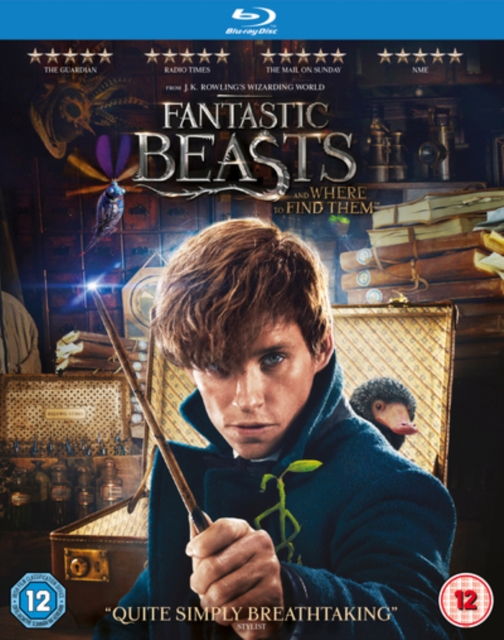 Fantastic Beasts and Where to Find Them 2016 Blu-ray - Volume.ro