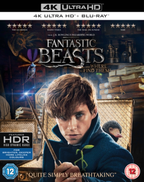 Fantastic Beasts and Where to Find Them 2016 Blu-ray / 4K Ultra HD + Blu-ray - Volume.ro