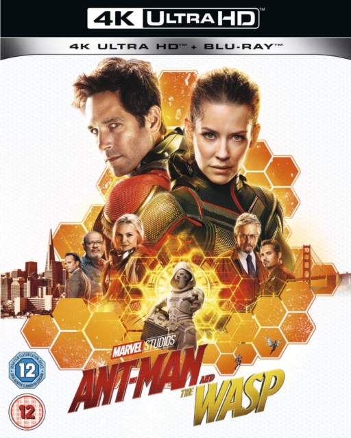 Ant-Man and the Wasp 2018 Blu-ray / 4K Ultra HD + Blu-ray - Volume.ro